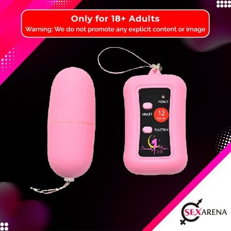 Remote Control Vibrating Egg BV-003
